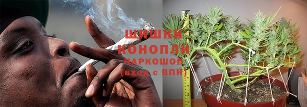 PSILOCYBIN Алексин