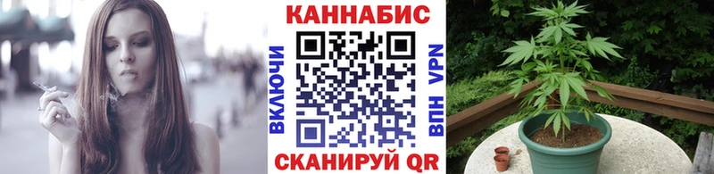 МАРИХУАНА ГИДРОПОН  Великий Устюг 